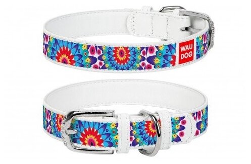Collar ошейник кожаный Waudog Design "Цветы" (ширина 15 мм., длина 27 - 36 см., Белый) - фото №4