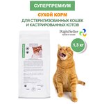 Сухой полнорационный корм для кошек 1.3 кг/Корм для стерилизованных кошек и кастрированных котов/Натуральный/СуперПремиум/Гипоаллергенный - изображение