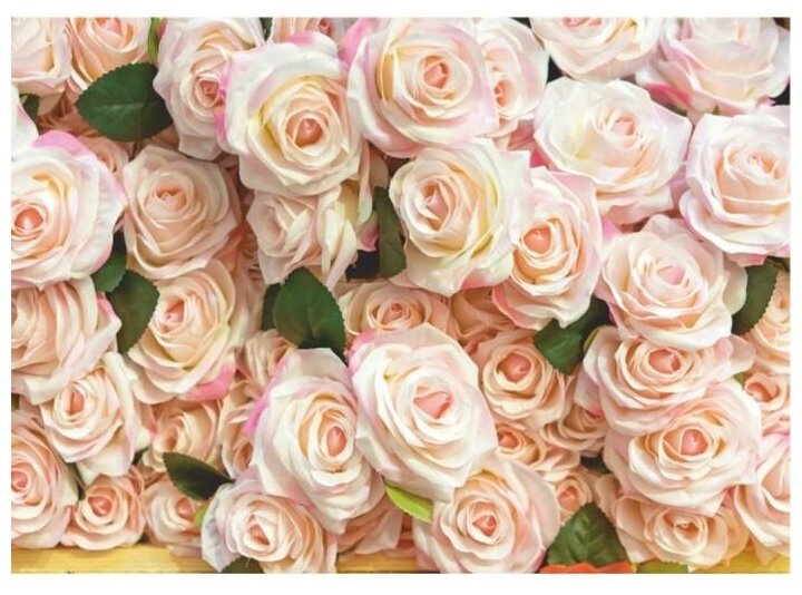 Декоративные панорамные фотообои Симфония для оформления стен фотопанно "Роскошные розы" размер 2800х2000 мм