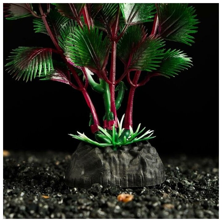 Растение искусственное аквариумное, 4 х 20 см, розово-зелёное - фотография № 3