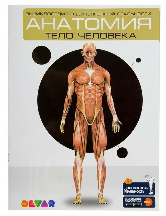 Энциклопедия 4D в дополненной реальности «Анатомия: тело человека»