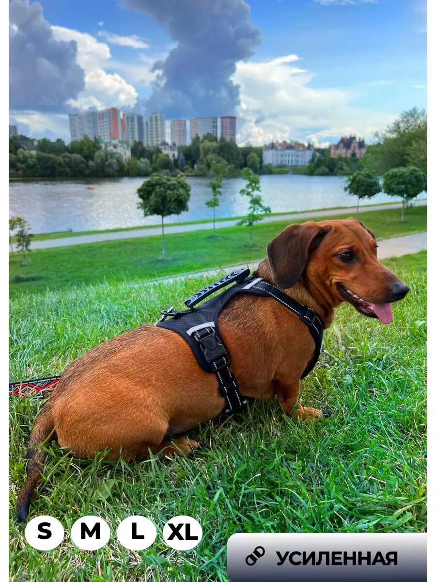 Прочная анатомическая шлейка для собак