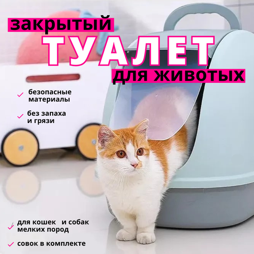 Туалет для котят и кошек закрытый 56*39*42 с совком (голубой)