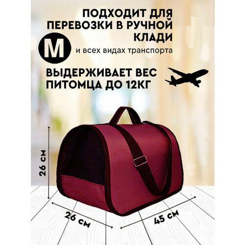Переноска для кошек М до 12 кг XL ZOLO, домик для кошки, 45х26х26 см, авиапереноска