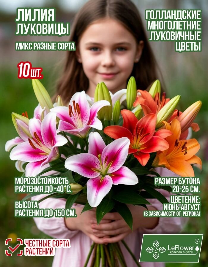 Лилия микс разные сорта 10шт