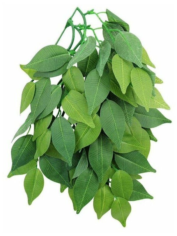 TP002-20 Растение для террариума Фикус 50см