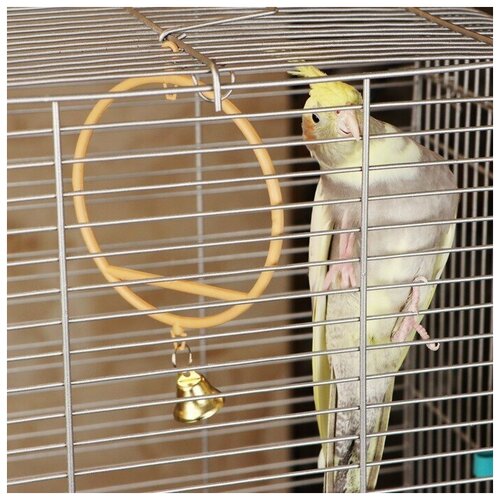 Пижон Качели для птиц круглые d 11,5 см, с колокольчиком, бежевые качели маленькие для канареек ferplast fpi4053