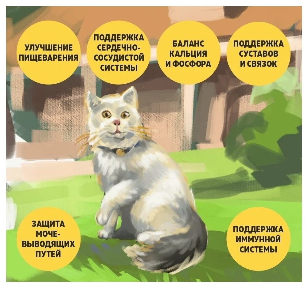 BROOKSFIELD Low Grain Adult Cat Chicken Сухой корм для взрослых кошек 400 г Курица - фотография № 12