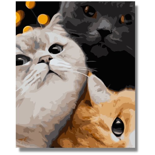 Картина по номерам Три кота холст на подрамнике 40х50