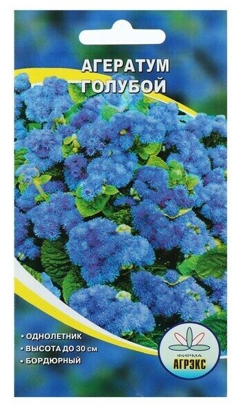 Семена цветов Агератум голубой О 1 г