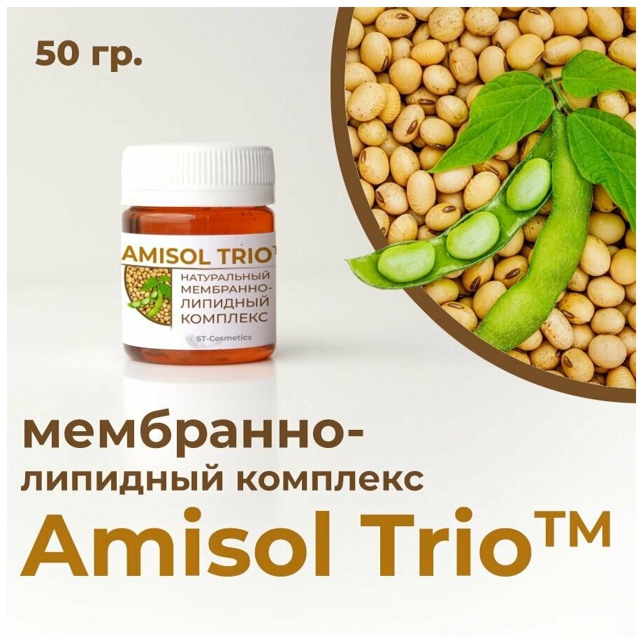 Amisol Trio / Амисол Трио МЛК - мембранно - липидный комплекс 50 гр США