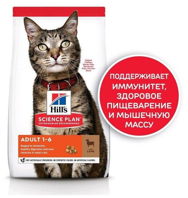 "Сухой корм Hill's Science Plan для взрослых кошек для поддержания жизненной энергии и иммунитета, с ягненком, 1,5 кг" - фотография № 17