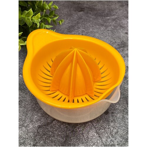 Соковыжималка Мадена 43000₽