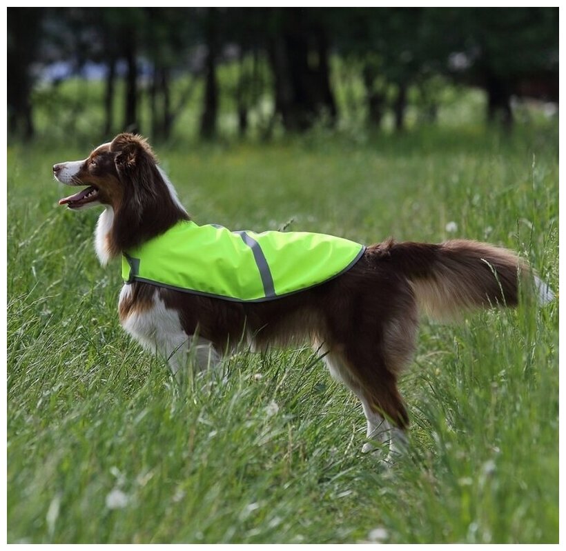 OSSO FASHION попона сигнальная для собак желтая (70) - фотография № 8