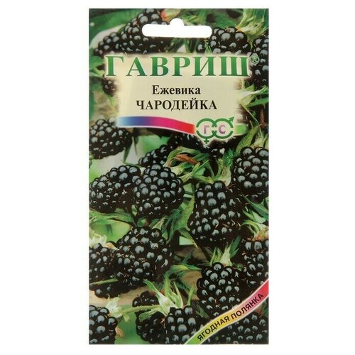 Семена Ежевика Чародейка, 10 шт 2 упаковки семена гавриш ежевика чародейка 10 шт