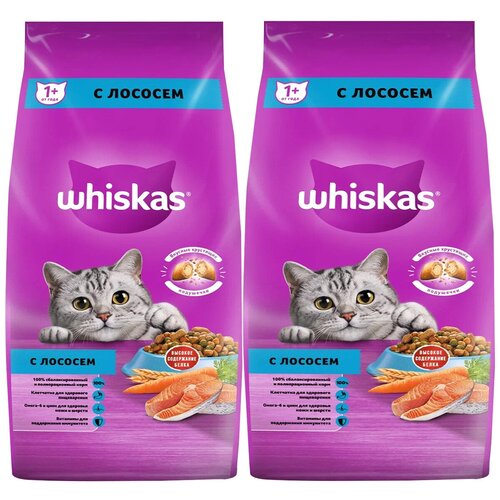 WHISKAS аппетитный обед для взрослых кошек c лососем с нежным паштетом (5 + 5 кг)