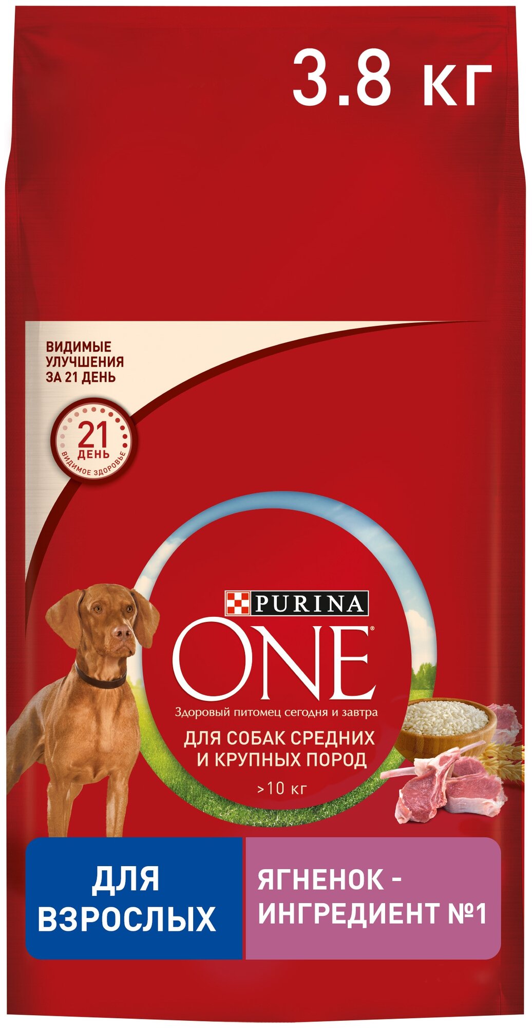 Сухой корм Purina ONE для взрослых собак средних и крупных пород, с высоким содержанием ягненка и рисом, 3,8кг - фото №6