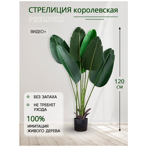 Искусственное растение дерево Стрелиция королевская в кашпо, Магазин искусственных цветов №1, высота 120 см.