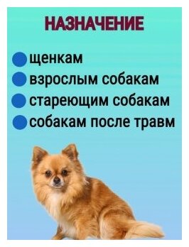 Polidex Глюкогестрон плюс Кормовая добавка для укрепления связок, суставов и хрящей у собак, 60 таблеток - фото №4