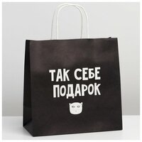 Пакет подарочный ТероПром 3907837 «Так себе, а не подарок», 22 × 22 × 11 см