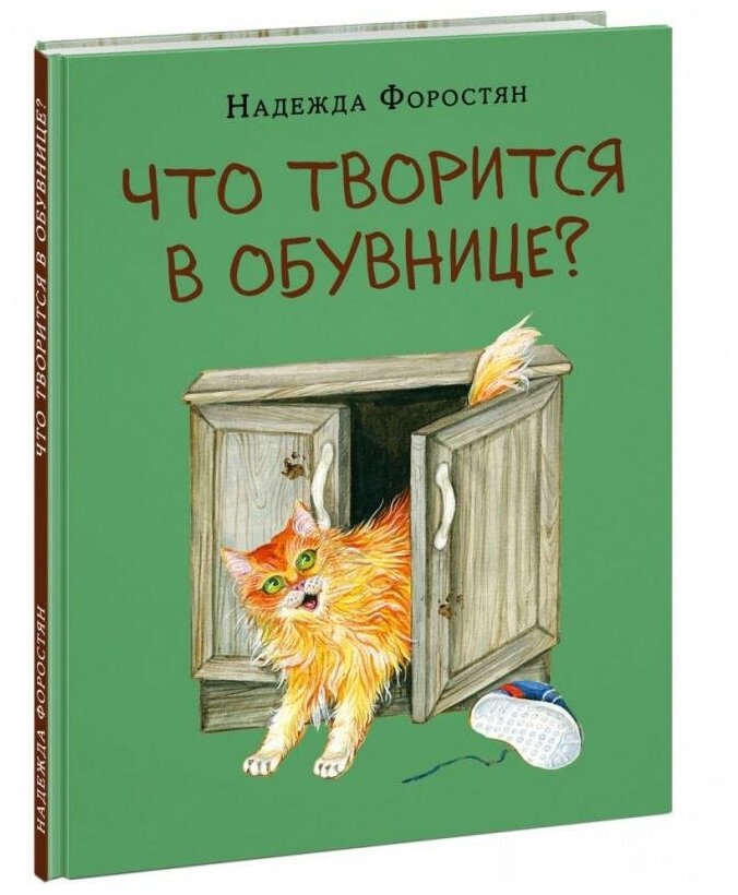 Что творится в обувнице? (Форостян Надежда Александровна) - фото №1