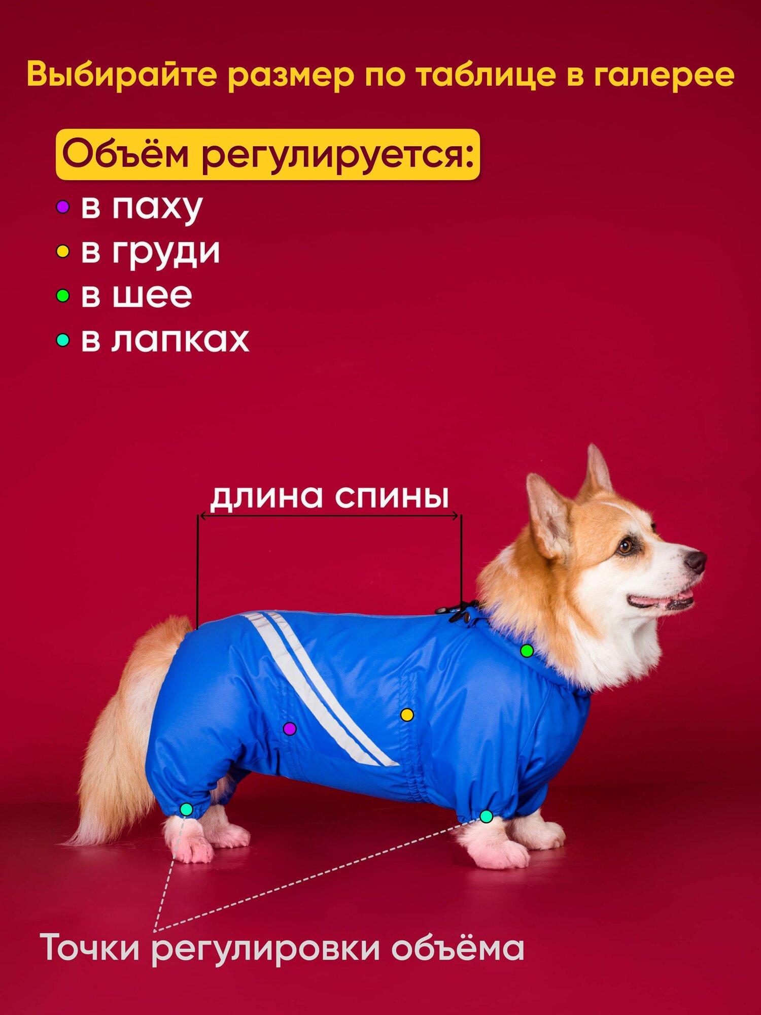 Водоотталкивающий комбинезон DiploDog для Корги (девочка), Одежда для Корги (девочка) — фото 1