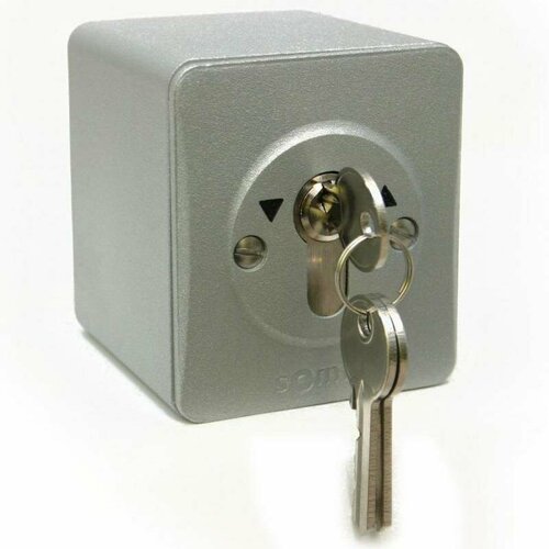 Somfy ORION, Выключатель замковый наруж. пров. с/ф