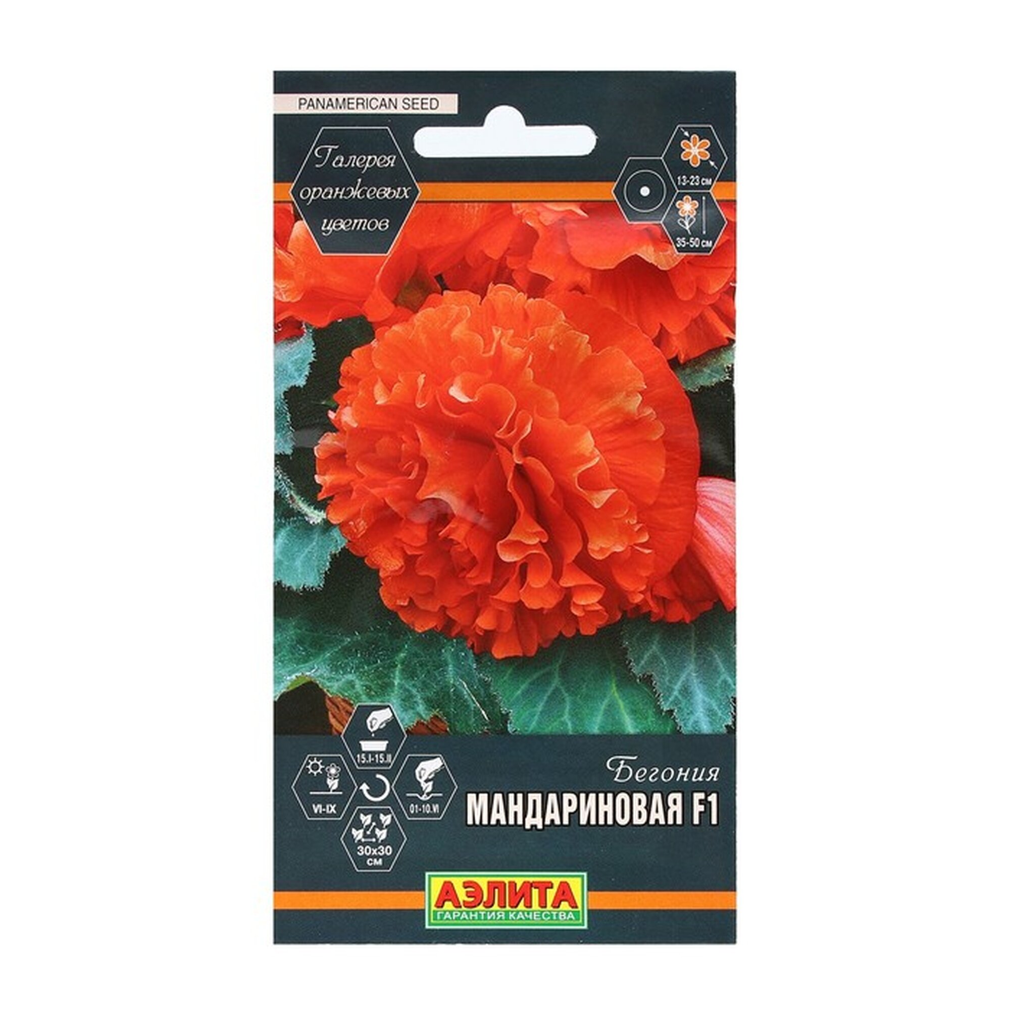 Семена Цветов Бегония 