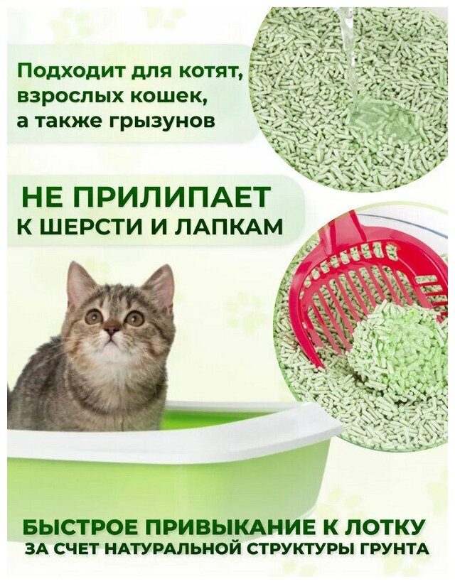 Наполнитель N1 Crystals Green Tea Силикагель NEW 5л - фотография № 15