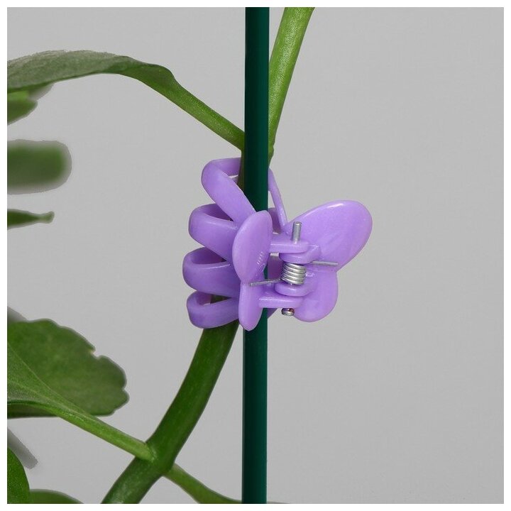 Greengo Клипса для растений, набор 10 шт "Мини Бабочка", микс - фотография № 2
