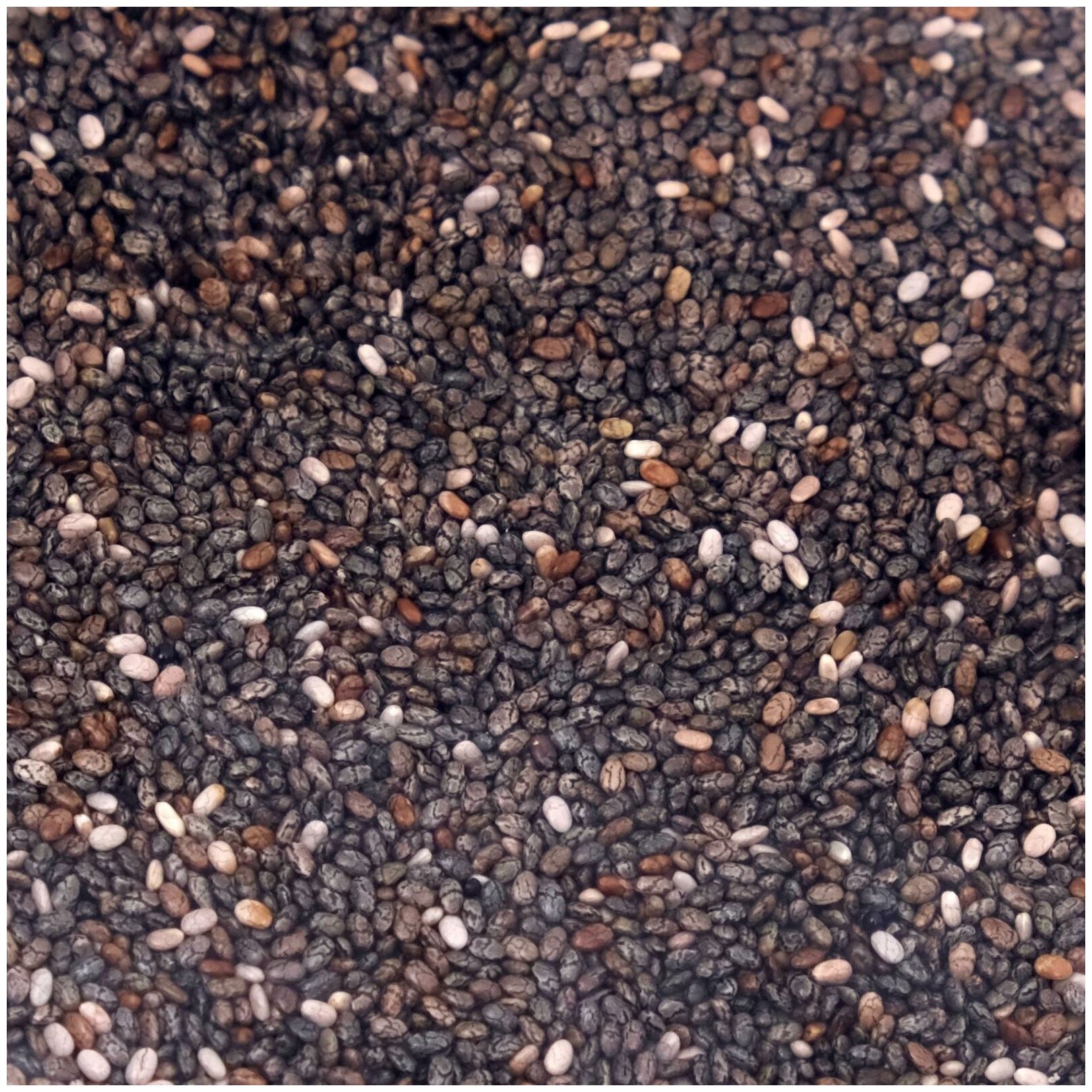 Семена "Чиа черная. Премиум", 400 г, пищевые - фотография № 2