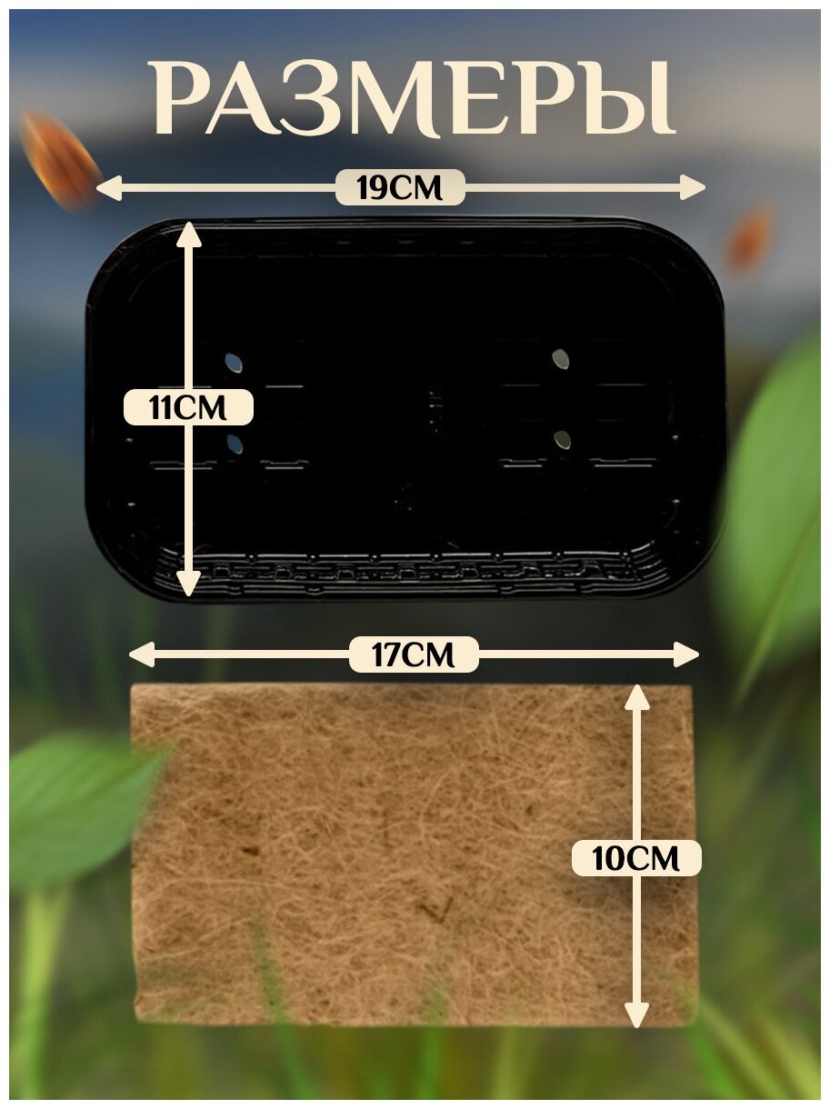 Контейнер для выращивания микрозелени 30 шт. 19 см на 11 см - фотография № 2