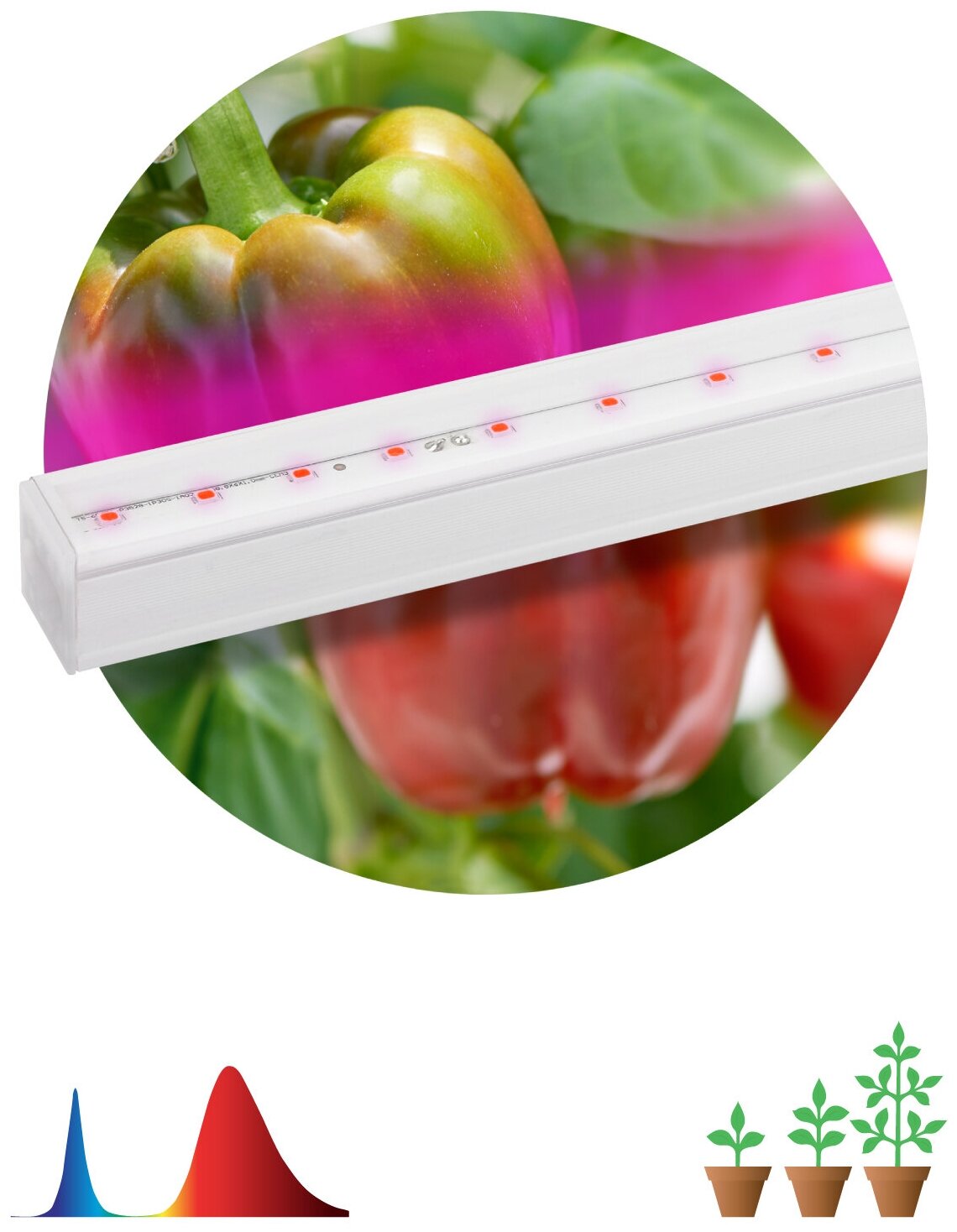 Светильник для растений ЭРА FITO-16W-Т5-N красно-синего спектра - фотография № 1