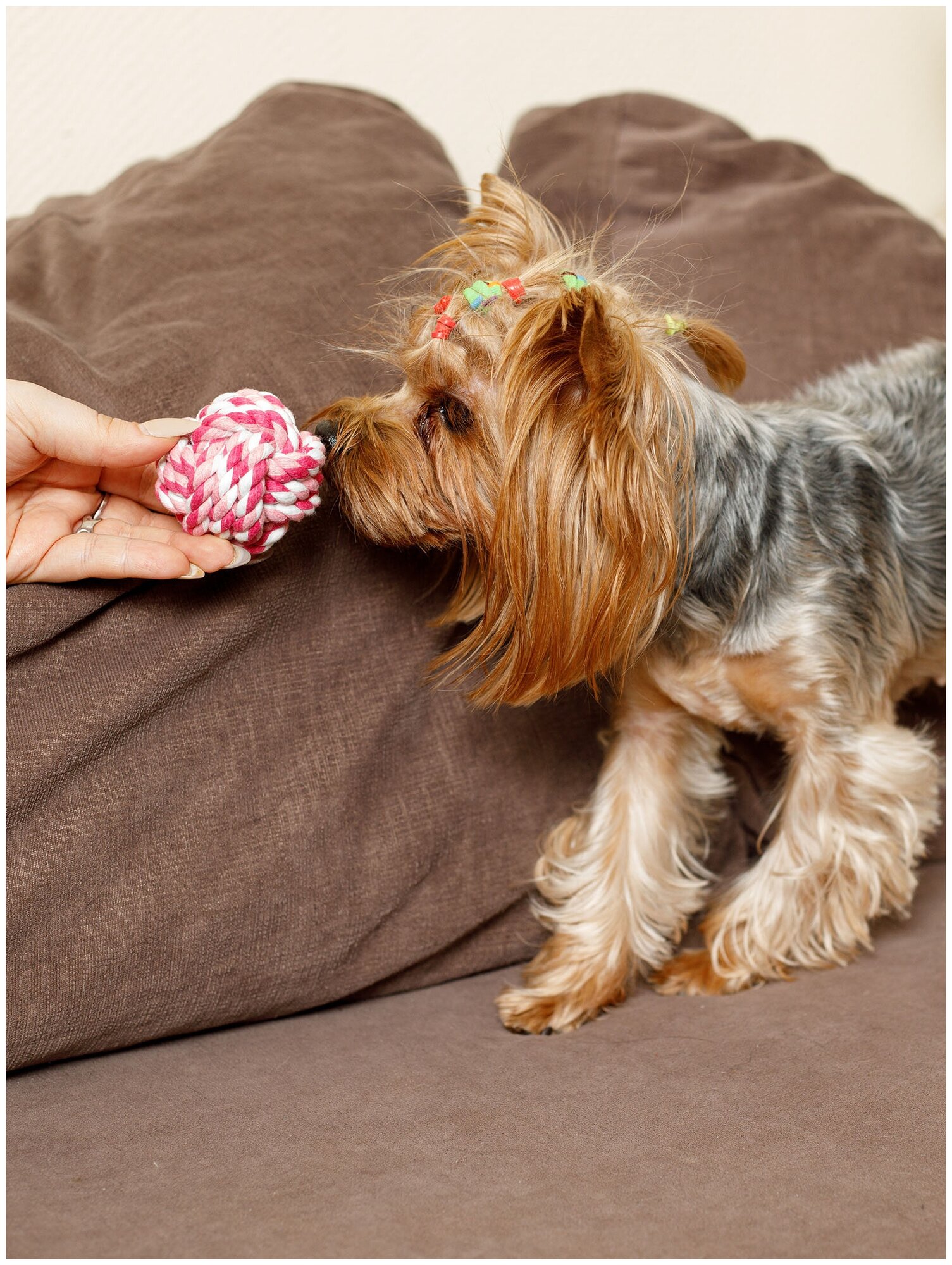 Игрушка для собак плетёный мяч Japan Premium Pet с интригующим ароматом и функцией чистки зубов, вкус клубника, размер SS - фотография № 9