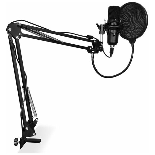 Микрофон Sunwind SW-SM400G черный