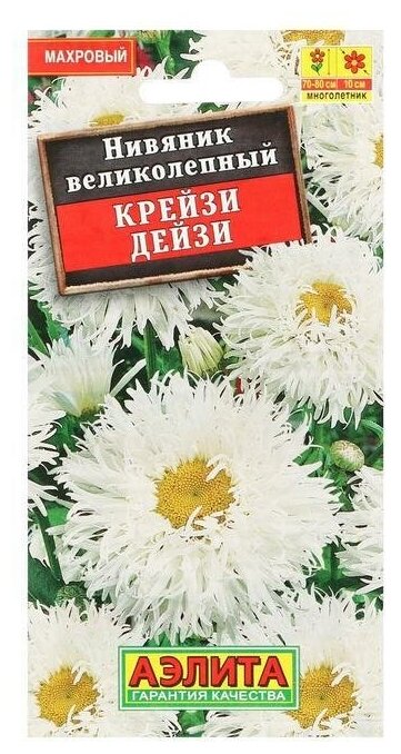 Семена цветов . Нивяник . Крейзи Дейзи . махровый Ц/П 003 г г .2 уп.