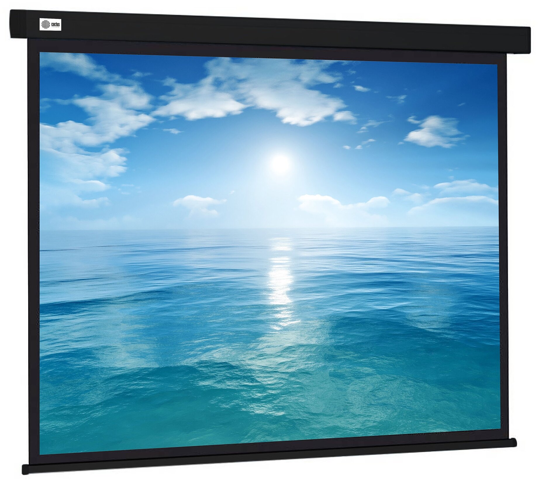 Рулонный cactus Wallscreen CS-PSW-104X186-BK