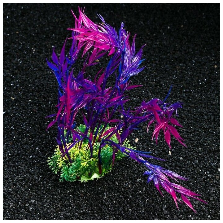Растение искусственное аквариумное, 22 см, фиолетовое Пижон Аква 7523996 . - фотография № 2