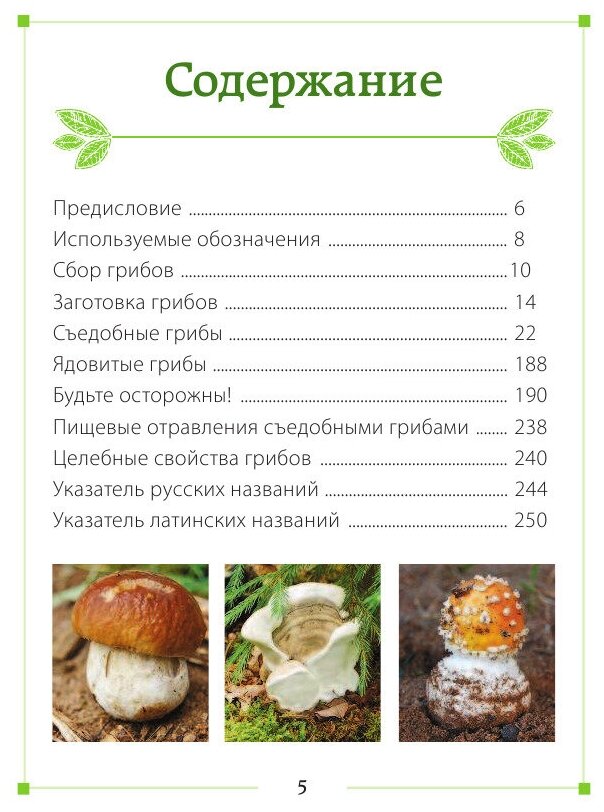 За грибами. Карманный атлас-определитель - фото №5