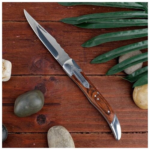 фото Нож складной "француз" сталь - 40х13, рукоять - дерево, 23 см витязь