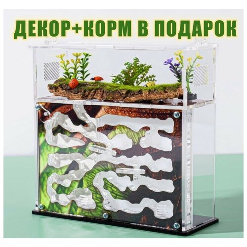 Муравьиная ферма 