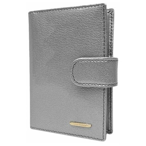 Визитница Lison Kaoberg 60016C