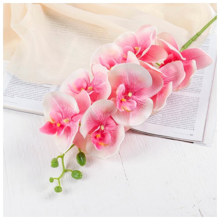 Цветы искусственные "Орхидея Изящная" 10х100 см, розовая
