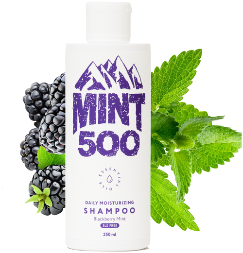 MINTSOO шампунь Daily Moisturising Blackberry Mint, 250 мл