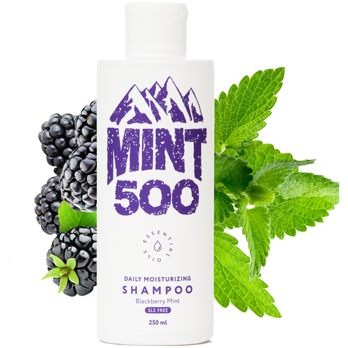 MINTSOO шампунь Daily Moisturising Blackberry Mint, 250 мл