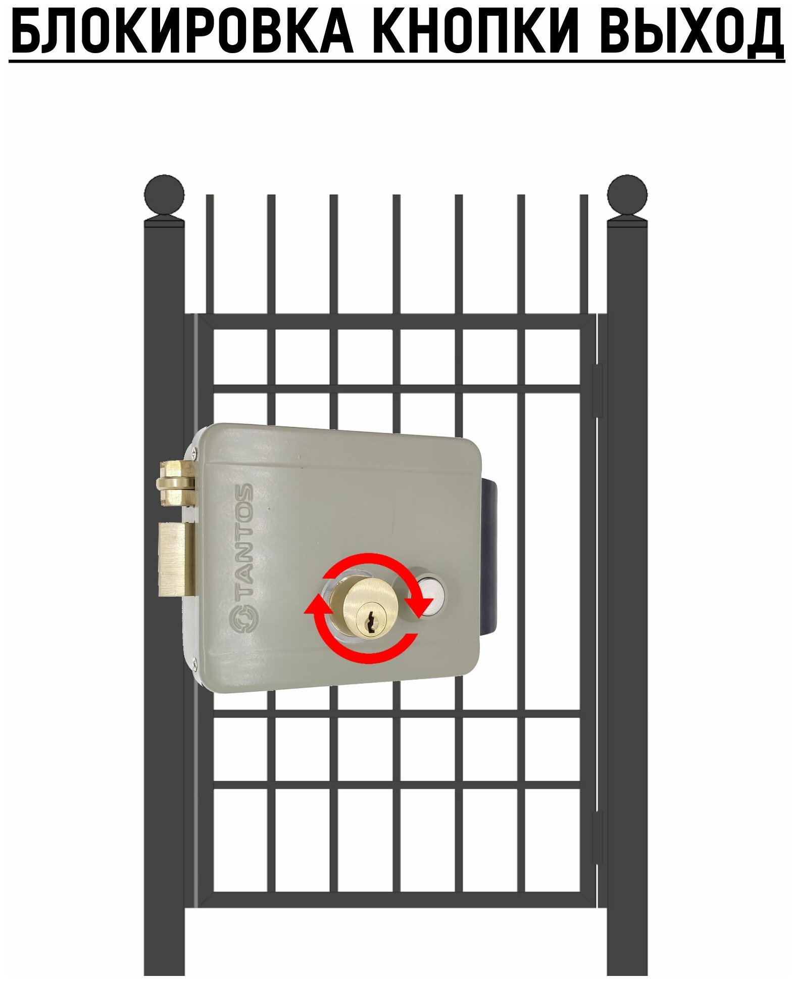 Tantos TS-EL2369ST уличный электромеханический замок накладной для калитки. Корпус крашенная сталь. Гибкий переход. - фотография № 4