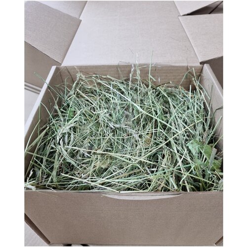 Сено луговое корм для грызунов, кроликов, шиншилл, морских свинок, грызунов, разнотравье, Borokot, вес 5000 гр.