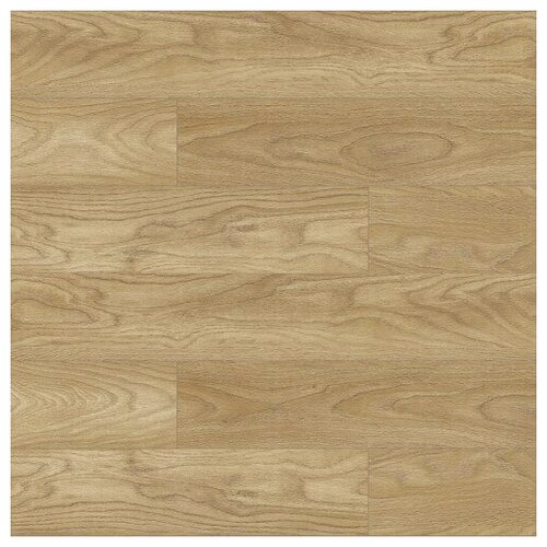 Varioclic Premium Medium Sariyer PM-863