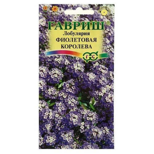 Семена цветов Лобулярия Фиолетовая королева, серия Сад ароматов, 0,2 г семена лобулярия фиолетовая королева 0 2г