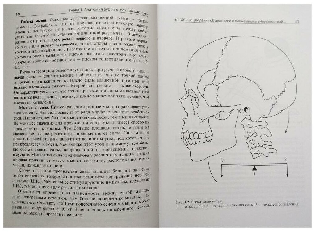 Анатомия, физиология и биомеханика зубочелюстной системы. Учебник - фото №6